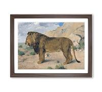 Study Of A Lion By Rosa Bonheur Classic Painting Framed Print | A4 Walnut Framed Wall Art | Ready to Hang | Classic Animal Picture | Living Room Bedroom Lounge Office