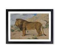 Study of A Lion by Rosa Bonheur Framed Print | A2 Black Framed Wall Art | Ready to Hang | Modern Animal Picture | Living Room Bedroom Lounge Office