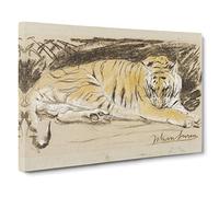 Study Of A Tiger Vol.1 By John Macallan Swan Canvas Print | Gallery Wrapped 30mm Frame Wall Art | 20x14 inches | Ready to Hang | Classic Animals Picture | Living Room Bedroom Lounge Office