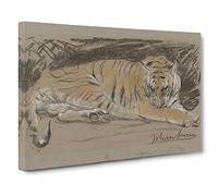 Study Of A Tiger Vol.1 By John Macallan Swan Canvas Print | Gallery Wrapped 30mm Frame Wall Art | 30x20 inches | Ready to Hang | Classic Animals Picture | Living Room Bedroom Lounge Office