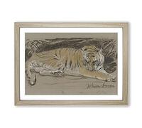 Study of A Tiger Vol.1 by John Macallan Swan Framed Print | A2 Oak Framed Wall Art | Ready to Hang | Modern Animal Picture | Living Room Bedroom Lounge Office