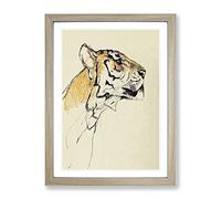 Study Of A Tiger Vol.2 By John Macallan Swan Asian Japanese Framed Wall Art Print, Ready to Hang Picture for Living Room Bedroom Home Office Décor, Oak A3 (34 x 46 cm)