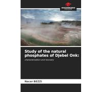 Study of the natural phosphates of Djebel Onk: characterization and recovery