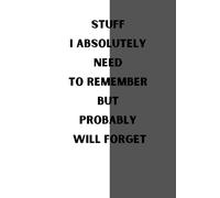 Stuff I Absolutely Need To Remember But Probably Will Forget: 6 x 9 Blank Lined Notebook Journal - Funny Saying Sarcastic Work Gag Gift for Office Coworkers, Employees, Adults, Boss
