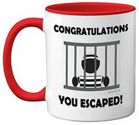 Stuff4 Congratulations You Escaped Retirement Mug
