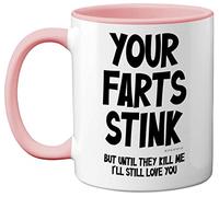 Funny Valentines Gifts for Him - Your Farts Stink Mug - Funny Mugs for Men, Birthday Gifts Boyfriend Husband Dad, Joke Novelty Present, I Love You Daughter Son Wife, 11oz Pink Ceramic