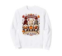 Stuffed Beyond Reason Funny Thanksgiving Gnomes Sweatshirt