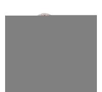 Stuffed Squeaky Dog Toys - Soft Chew Toy | Pet Playing Device Dachshund | Puppy Teeth Cleaning | Pet Playing Device Dachshund Shape For Teeth Cleaning Puppy Training Chewing Tools Pp Cotton