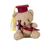 Stuffed Toy Plush Bear Graduation Graduate 2024 Photography Graduation Bear Stuffed Animals Cartoon Bear Graduation Bear