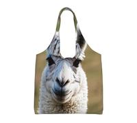 Stujvc Cute Llama Pattern Reusable Shopping Tote Bag, Large Canvas Carryall For Women Work Commute Beach Travel