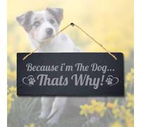 Stukk Crazy Laugh Poop Laser Kitten Puppy Pup Home Pet Sign (Because I am The Dog), Natural Engraved Slate Stone Plaque, 30x12cm (Large)