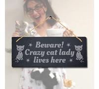 Stukk Dogs Pet Funny Laser Hanging Kitten Kennels Pup Puppy Home (Crazy Cat Lady), Natural Engraved Slate Stone Plaque, 30x12cm (Large)