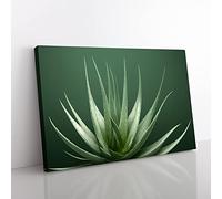 Stunning Aloe Vera Plant Canvas Wall Art Print Ready to Hang, Framed Picture for Living Room Bedroom Home Office Décor, 76x50 cm (30x20 Inch)