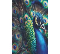 Stunning bird design diary: Lined daily Journal| Ruled planner notebook| Attractive gifts for women, men, students| Inspirational message| 100 pages| ... Cream colour paper inside calmer look