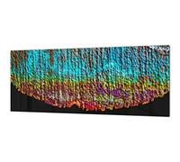 Stunning Glass Wall Art - Wide Format Kitchen backsplash BBS19: Rusted Textures Series