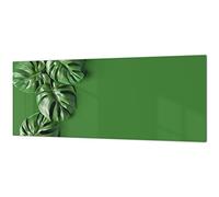 Stunning glass wall art - Wide format kitchen backsplash BBS26: Tropical Leaves Series