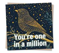Stunning Happy Anniversary or Valentine's Card For Loved One - Bird, Robin - You're One In A Million - For Partner, Boyfriend, Girlfriend, Husband, Hubby, Wife, Special Someone