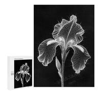 Stunning Iris Flower with Black Background 500 Piece Wooden Jigsaw Puzzle for Adults - Challenging and Relaxing Puzzle, Precision Cut Pieces, Finished Size 21 x 15 Inches