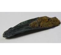 Stunning Rare Natural Specimen Blue/Green Vivianite 4.7 x 1.0 cm 3.90 GMS #1