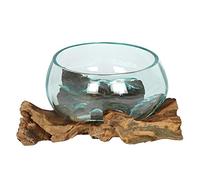 Stunning Small Molten Glass on Root Wood - 13cm x 20cm (1 Pc.) - Unique Handcrafted Centerpiece - Ideal Home Decor Accent