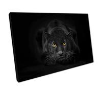 Stunning Strong Powerful Sleek Wild Black Panther Wild Big Cat Animal Photography Wall Art Print On Canvas Picture For Home Office Decor 45x30cm (18x12In)
