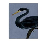 Stupell Industries Black Perched Heron Canvas Wall Art design by Grace Popp, 20 x 16