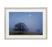 Stupell Industries Blue Silence Landscape Birch Framed Print Under Glass design by Urtzi Vera, 17 x 23