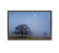 Stupell Industries Blue Silence Landscape Brown Framed Floater Canvas Wall Art design by Urtzi Vera, 17 x 25