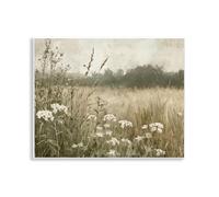 Stupell Industries Daisy Clusters in Meadow Wall Plaque Art design by Petal Prints Design, 11 x 14