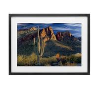 Stupell Industries Found You Cactus in Canyon Black Framed Print Under Glass design by Mike Jones, 14 x 20