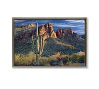 Stupell Industries Found You Cactus in Canyon Brown Framed Floater Canvas Wall Art design by Mike Jones, 17 x 25