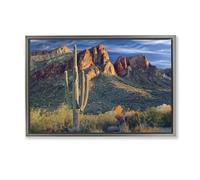 Stupell Industries Found You Cactus in Canyon Gray Framed Floater Canvas Wall Art design by Mike Jones, 21 x 31