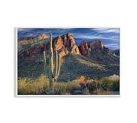 Stupell Industries Found You Cactus in Canyon White Framed Giclee Art design by Mike Jones, 16 x 24