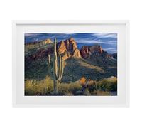 Stupell Industries Found You Cactus in Canyon White Framed Print Under Glass design by Mike Jones, 14 x 20
