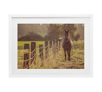 Stupell Industries Horse's Farm at Dawn White Framed Print Under Glass design by Norm Stelfox, 14 x 20
