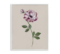 Stupell Industries Jewel Rose Sprig White Framed Giclee Art design by Sally Swatland, 14 x 11