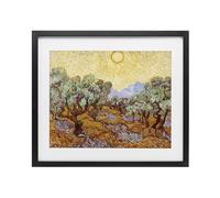 Stupell Industries 'Olive Trees Van Gogh', Framed Print Under Glass, Black, 21 x 17 Inches, Easy to Hang and Sturdy, Made in USA, by Vincent Van Gogh