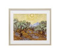 Stupell Industries 'Olive Trees Van Gogh', Framed Print Under Glass, Brown, 21 x 17 Inches, Easy to Hang and Sturdy, Made in USA, by Vincent Van Gogh