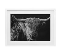 Stupell Industries Scottish Highland Portrait White Framed Print Under Glass design by Crystal Lynn Collins, 17 x 23