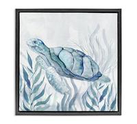 Stupell Industries 'Sea Turtle with Subtle Smile', Floating Frame Canvas Art, Black, 25 x 25 Inches, Easy to Hang and Sturdy, Made in USA, by Janet Tava