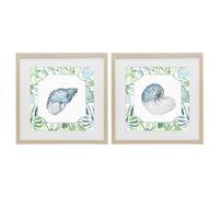 Stupell Industries 'Seaweed Bordered Seashells', 2pc Framed Print Under Glass Set, Brown, 16 x 16 Inches, Easy to Hang and Sturdy, Made in USA, by Janet Tava