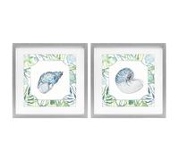 Stupell Industries 'Seaweed Bordered Seashells', 2pc Framed Print Under Glass Set, Gray, 16 x 16 Inches, Easy to Hang and Sturdy, Made in USA, by Janet Tava