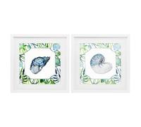 Stupell Industries 'Seaweed Bordered Seashells', 2pc Framed Print Under Glass Set, White, 16 x 16 Inches, Easy to Hang and Sturdy, Made in USA, by Janet Tava