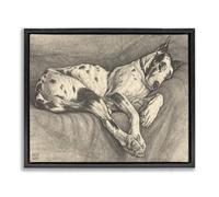 Stupell Industries 'Sleeping Hound Drawing', Floating Frame Canvas Art, Black, 31 x 25 Inches, Easy to Hang and Sturdy, Made in USA, by Bertha Van Hasselt