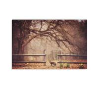 Stupell Industries Sly Guy Fox in Forest Canvas Wall Art design by Carrie Ann Grippo-Pike, 20 x 30