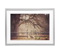 Stupell Industries Sly Guy Fox in Forest Gray Framed Print Under Glass design by Carrie Ann Grippo-Pike, 14 x 20