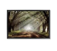 Stupell Industries Sunlit Evergreen Grove Black Framed Floater Canvas Wall Art design by Mike Jones, 21 x 31