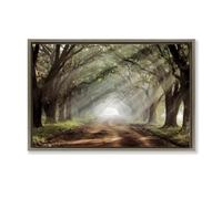 Stupell Industries Sunlit Evergreen Grove Brown Framed Floater Canvas Wall Art design by Mike Jones, 17 x 25