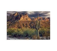 Stupell Industries Tall And Strong Cactus View Canvas Wall Art design by Mike Jones, 20 x 30