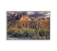 Stupell Industries Tall And Strong Cactus View Gray Framed Giclee Art design by Mike Jones, 12 x 18